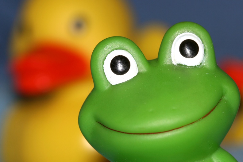 FrogDuck1.jpg