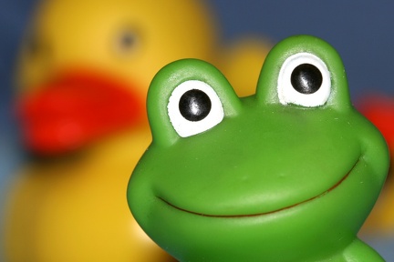 FrogDuck1