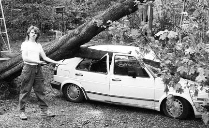1989-05-treefallsinwoodbury-1