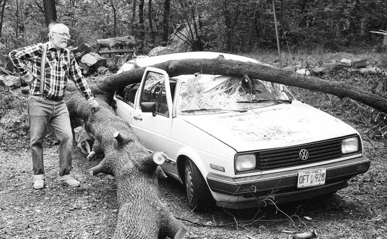 1989-05-treefallsinwoodbury-2.jpg