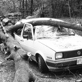 1989-05-treefallsinwoodbury-2