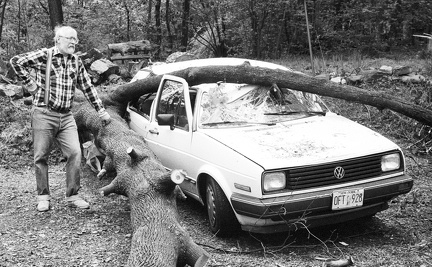 1989-05-treefallsinwoodbury-2