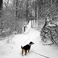 2003 Winter Tucker-in-Snow