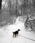 2003 Winter Tucker-in-Snow