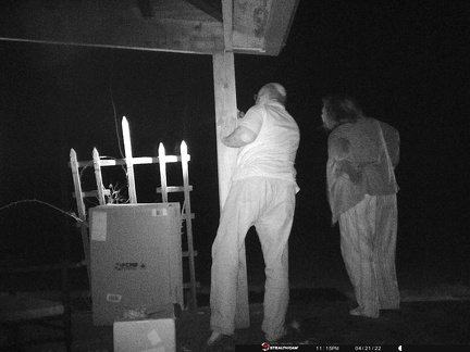 2022-04-21-231606 Bear- 002