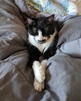 2019-03-31 Simon-air-mattress