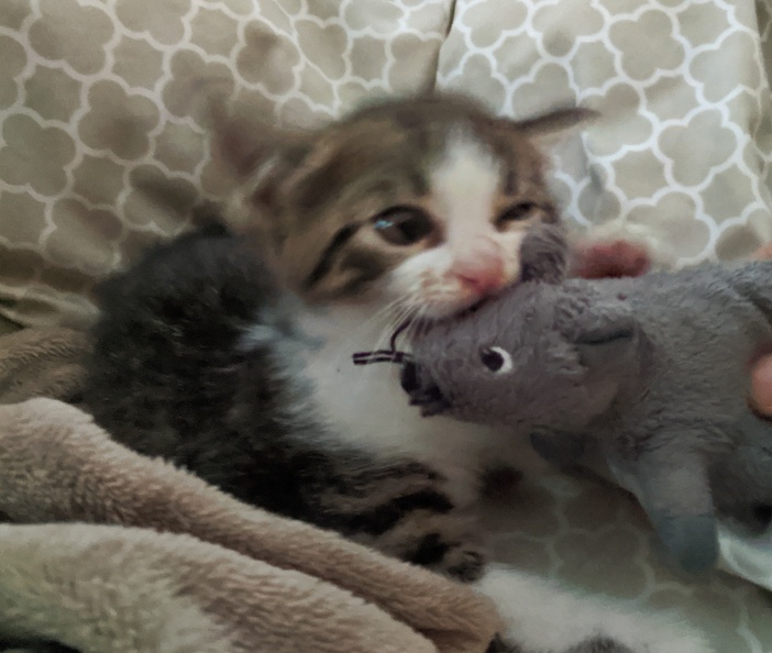 2019-11-12_073135.jpg
