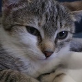2019-12-29 181219 (1)