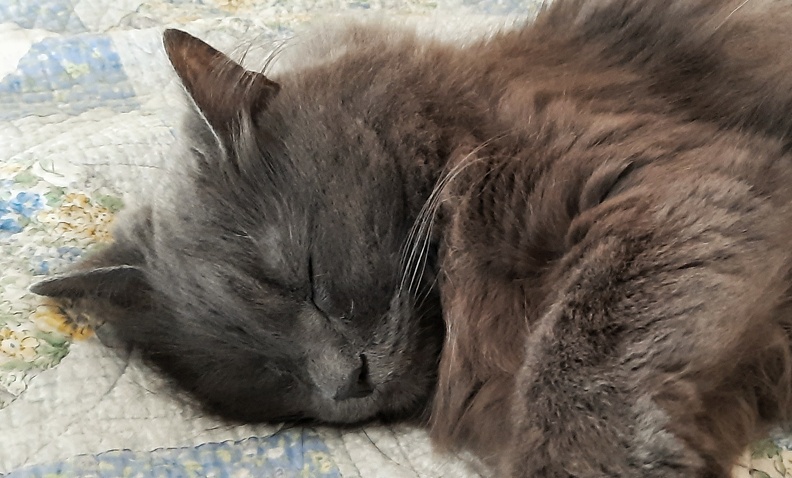 2022-10-01_945-01.jpg
