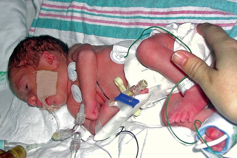 2002-11-01 Sam Birthday 2.jpg