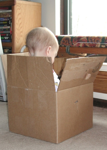 2004-03-19 Sam in Box.jpg