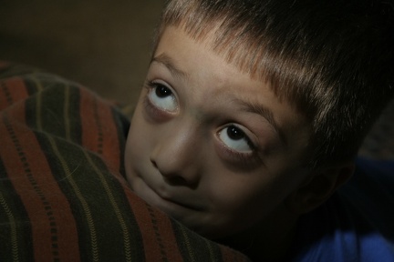 2008-07-03 Sam Kittens 001