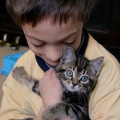 2009-01-24 Sam and Kitten