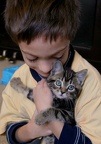 2009-01-24 Sam and Kitten