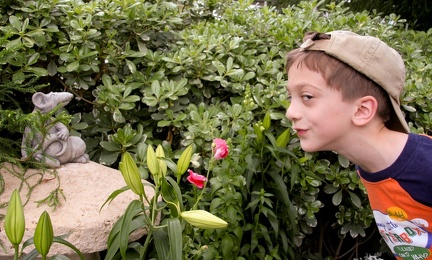 2009-05-23 Ginter Garden 016