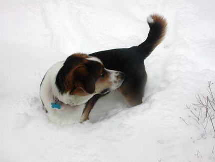 2003 Winter Tucker-in-Snow 2