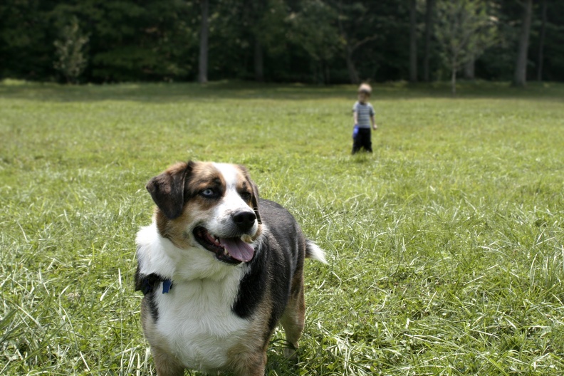 2005-09-10 Sam Holds Tucker's Leash.jpg