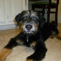 2013-05-17 Lucy 933