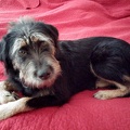 2014-08-03 002