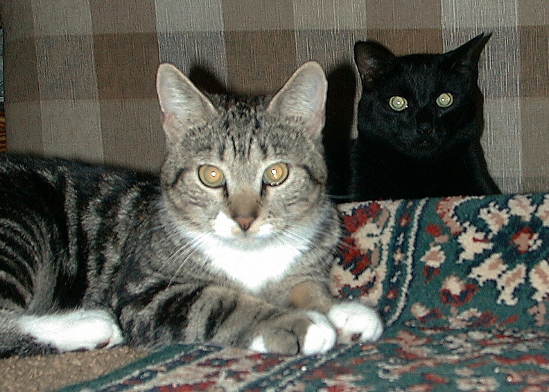 1998-07_Percy and George.jpg