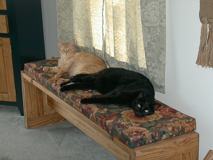 george and tk