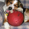 Tucker and Football