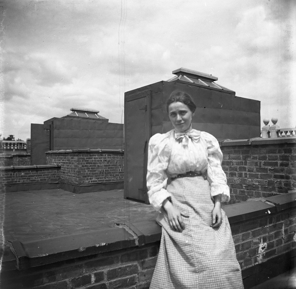 Scanned-Plate 88.jpg