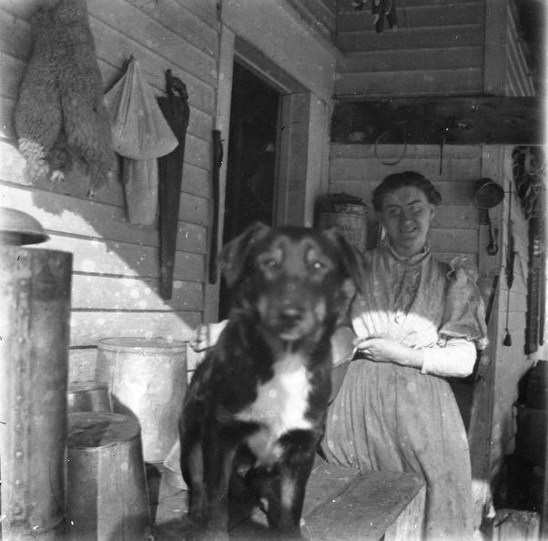 Scanned-Plate 95.jpg