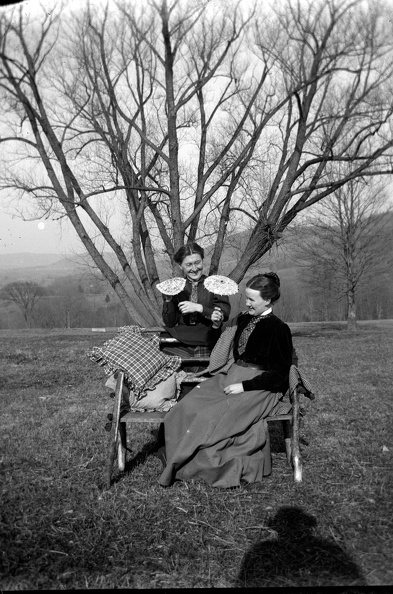 Ireland Plates 164.jpg