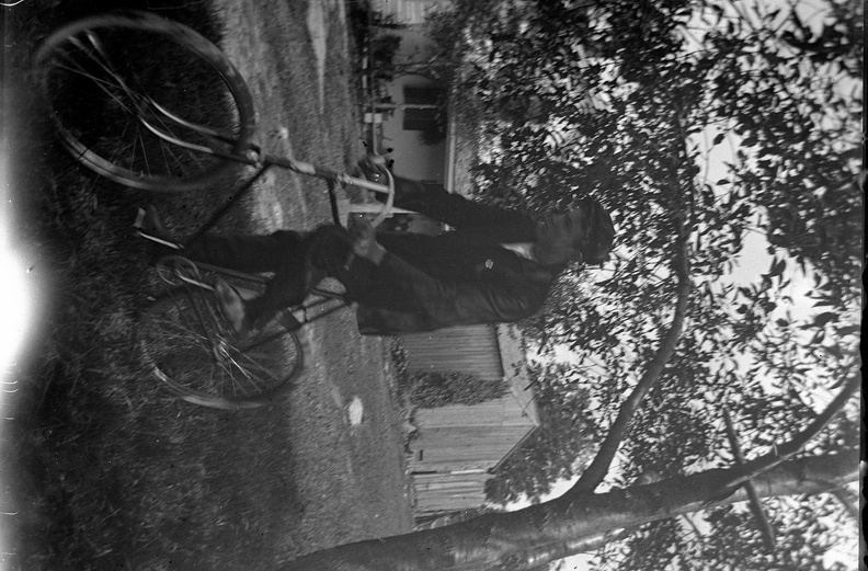 Ireland Plates 600.jpg