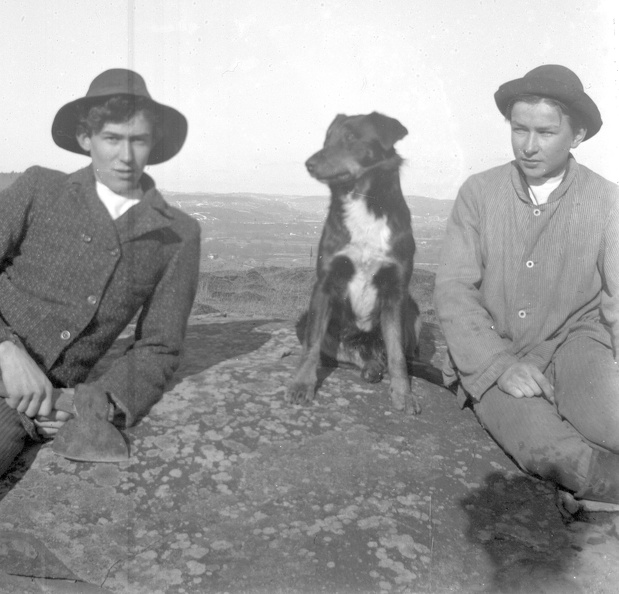 Ireland Plates 641.jpg