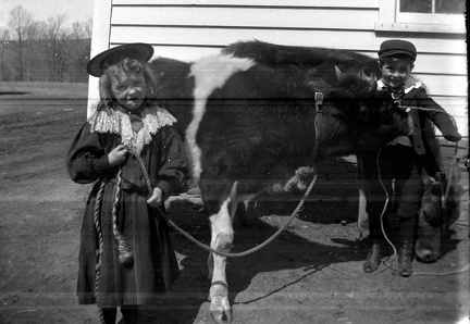 Ireland Plates LottieRy446