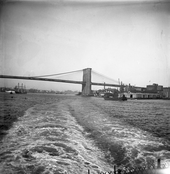 Scanned-Plate 82.jpg