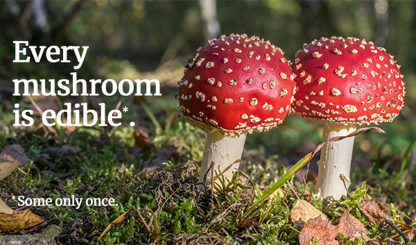 everymushroomisedible.jpg